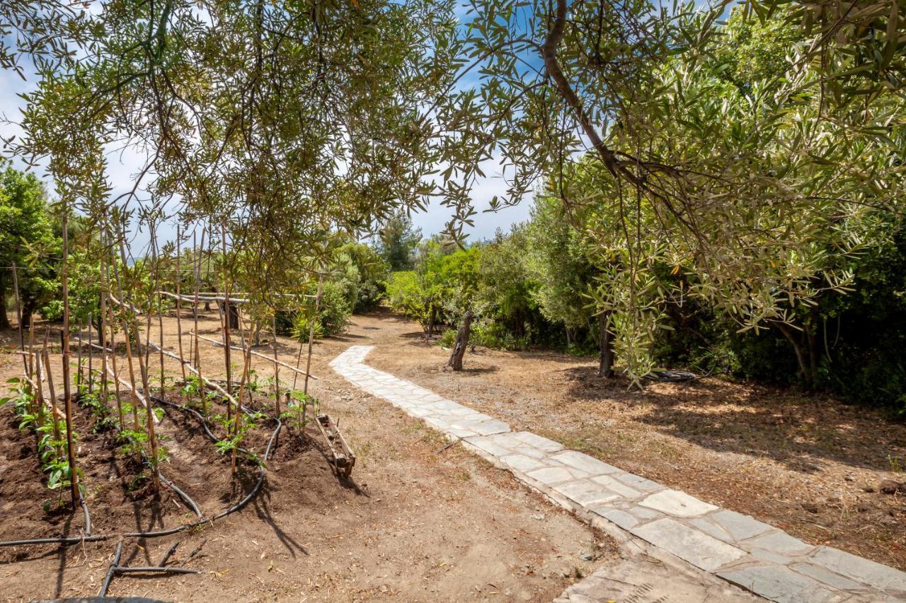Hidden Gem Sithonia Villa Metochi Agias Kiriakis Kültér fotó