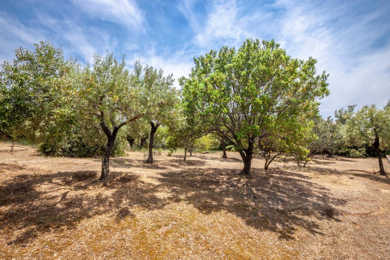 Hidden Gem Sithonia Villa Metochi Agias Kiriakis Kültér fotó