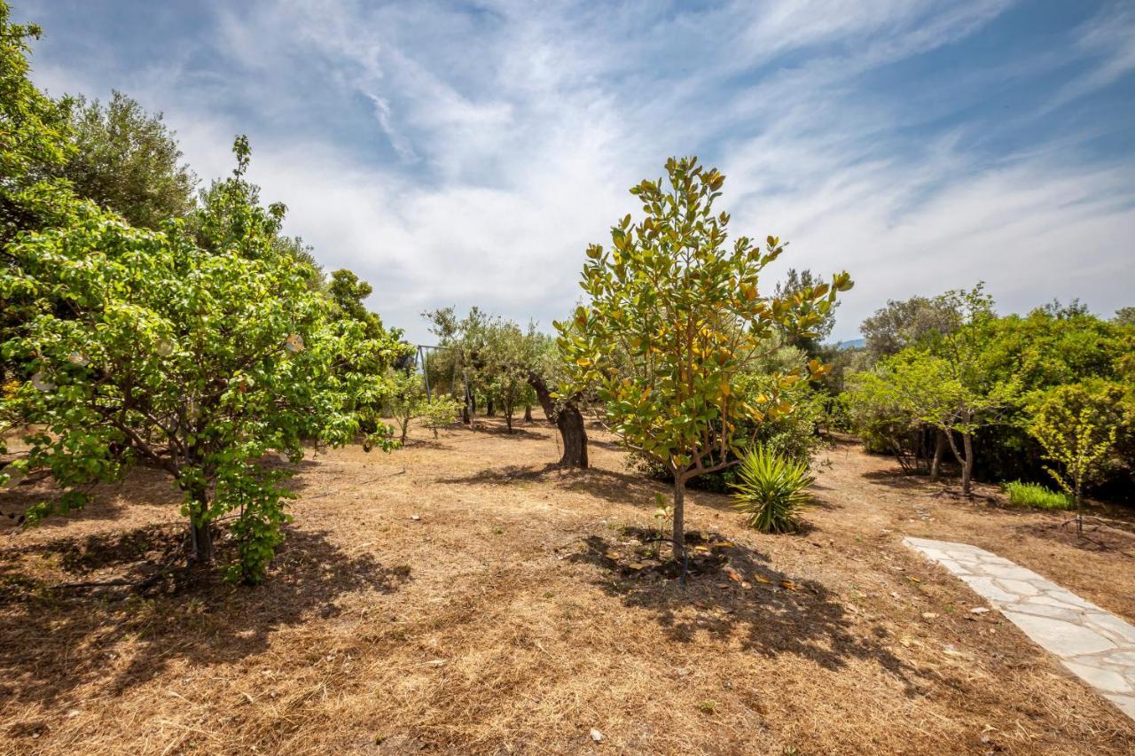 Hidden Gem Sithonia Villa Metochi Agias Kiriakis Kültér fotó